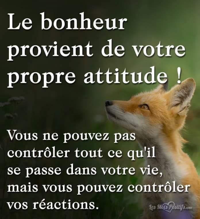 Le bonheur provient de votre attitude